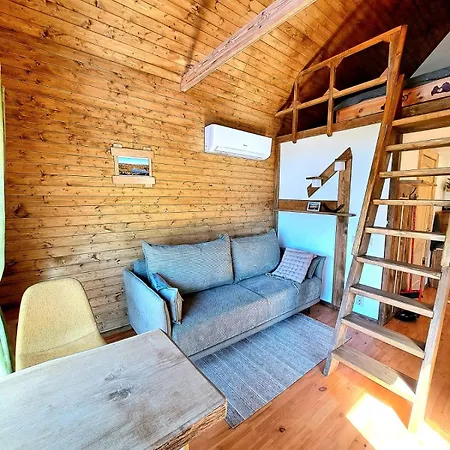 Skujina Holiday home