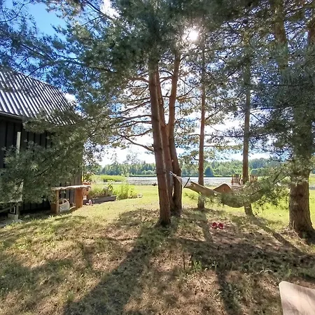 Skujina