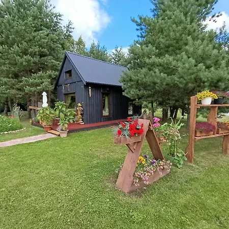 Holiday home Skujina *