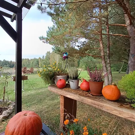 Skujina Holiday home *