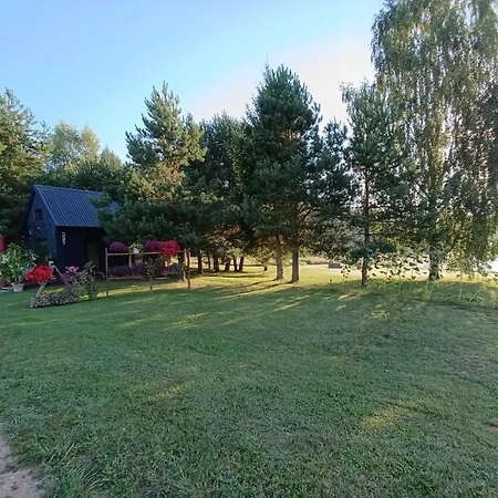 Skujina * Princi